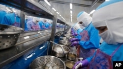 FILE - Workers peel shrimp at the Thai Union factory in Samut Sakhon, Thailand. 