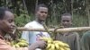Africa: Direito a alimentação em debate em Nairobi
