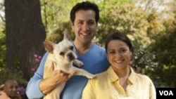 Unos 73 millones de familias estadounidenses tienen una o dos mascotas, los perros y los gatos son los más populares.