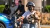 Una mujer lleva a un perro en una motocicleta el 6 de junio de 2022 en el distrito de Jing'an, en la ciudad china de Shanghái.