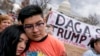 Senadores demócratas piden a Trump extender DACA y TPS debido al coronavirus