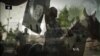 US vs. IS: One Year Along, Conflict Rages