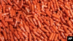 Merck & Co. announced Friday, Oct. 1, 2021, that its experimental COVID-19 pill reduced hospitalizations and deaths by half in people recently infected with the coronavirus. (Merck & Co. via AP)