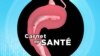 Carnet de Santé : Comprendre l’endométriose