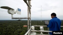 Seorang pekerja lingkungan bekerja memonitor hutan Amazon (foto: dok).