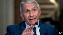 ARCHIVO - El Dr. Anthony Fauci, director del Instituto Nacional de Alergias y Enfermedades Infecciosas, testifica ante el Comité Senatorial de Salud, Educación, Trabajo y Pensiones en el edificio de oficinas del Senado Dirksen en Washington, el 20 de julio de 2021.