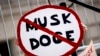 Gedung Putih Bersikeras Elon Musk Tidak Bertanggung Jawab di DOGE