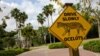 Border Wall Would Doom Ocelots, Other Wildlife