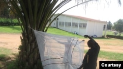Researchers in Uganda demonstrate the design of the SmartNet technology. SmartNets use conductive fabric to detect when they are folded up or in use. (Courtesy - Paul Krezanoski)