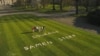 Some Belgians Shout: ‘King! Open Your Garden'