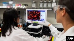 Dr. Sonia Macieiewski (R) and Dr. Nita Patel, Director of Antibody discovery and Vaccine development, look at a sample of a respiratory virus at Novavax labs in Rockville, Maryland on March 20, 2020, one of the labs developing a vaccine for the coronaviru