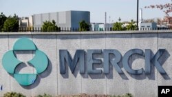 FILE - Signage is seen at the corporate headquarters of the U.S. pharmaceutical company Merck in Kenilworth, N.J., May 1, 2018. 