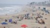 US COVID-19 Expert Advises States to Pause Reopening Plans 