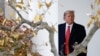 Impeachment Process Divides Global Opinion, but Shows Democracy in Action