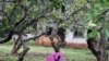 Dans le nord de la Centrafrique, un désert scolaire pour une "génération perdue"
