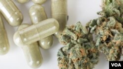 Algunos productores consideran que la calidad y el costo de la marihuana se verá afectada por la producción industrial.