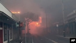 Požar u Lahaini (Foto: Alan Dickar via AP)