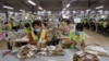 Vietnam’s Economy Gets Boost from US-China Trade War