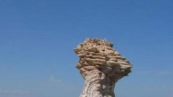 آرشیو