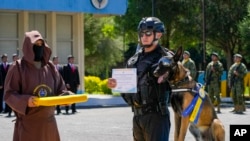 El perro Apolo recibe una medalla en una ceremonia de reconocimiento por su labor como parte de una brigada de inteligencia militar en Quito, Ecuador, el lunes 3 de junio de 2024. 