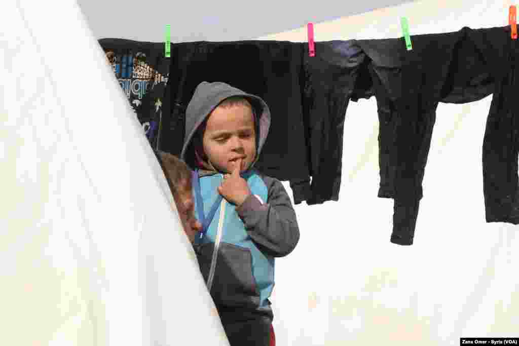 Kampa Waşokanî li Bakur û Rojhilatê Sûriyê