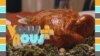 Vous et Nous : Célébration de Thanksgiving aux États-Unis