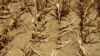 Climate-Related Drought Disasters Threaten Development, UN Warns 