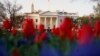 Белый дом: дискуссии между США и КНДР продвигаются быстрее, чем ожидалось