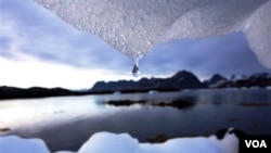 Melelehnya es dunia akibat pemanasan global seperti di wilayah Greenland ini berpotensi menaikkan permukaan air laut setinggi satu meter di akhir abad (Foto: dok).