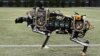 Robots as Fast as Cheetahs?