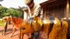 Vietnam Artist Marks the Year of the Tiger