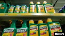 Glifosat, yang umumnya dikenal sebagai RoundUp produksi perusahaan AS Monsanto, kini dilarang dipakai di Thailand. 