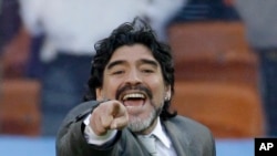 Le sélectionneur argentin Diego Maradona lors d'un match de la Coupe du monde entre l'Argentine et la Corée du sud à Johannesburg, en Afrique du sud, le 17 juin 2010.