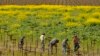 Les décisions de Trump sur l'immigration inquiètent les agriculteurs