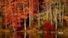 16x9 Image