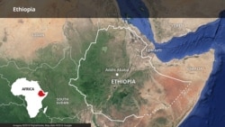 በአመያ ወረዳ በታጣቂዎች ተፈጸመ በተባለ ጥቃት 12 ሰዎች መገደላቸው ተገለጸ