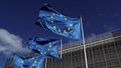 EU “북러 협정, 안보리 결의 노골적 위반” … 나토 “북한의 대러 무기지원 규탄”
