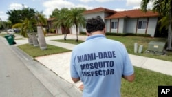Vlasti na Floridi brine što su prenosioci zika virusa - lokalni komarci.