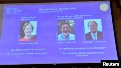Pictures of the 2018 Nobel Prize laureates for chemistry: Frances H. Arnold of the United States, George P. Smith of the United States and Gregory P. Winter of Britain are displayed on a screen during the announcement at the Royal Swedish Academy of Sciences. (Jonas Ekstromer/TT News Agency/via REUTERS)