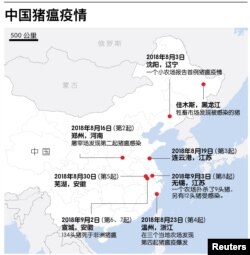 中国猪瘟疫情