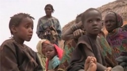De Capua report on Sahel food crisis