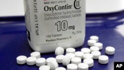 FILE - OxyContin pills are arranged at a pharmacy in Montpelier, Vermont, Feb. 19, 2013.