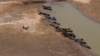 Chinese Dams Blamed for Exacerbating Southeast Asian Drought