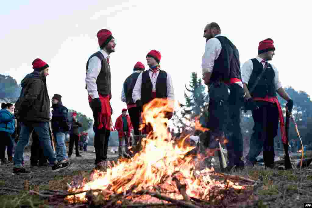 El d&#237;a de Santa Coloma, los participantes, conocidos como &quot;Galejadors&quot; (halagadores) cortan un pino, lo cargan en un carro tirado por dos bueyes y lo llevan al pueblo en ruidosa procesi&#243;n. El &#225;rbol se descarga en la Pla&#231;a de L&#39;Esglesia. [Reuters].