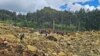 Longsor di Papua Nugini: Ratusan Dikhawatirkan Tewas; 4.000 Mungkin Terdampak
