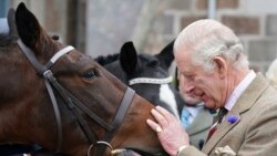 Líderes de todo el mundo envían mensajes de apoyo al rey Carlos III de Inglaterra luego de conocerse que padece cáncer
