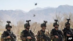 آرشیف: کوماندوی های افغانستان بیشترین عملیات نظامی را بر ضد طالبان و سایر گروه ها در آن کشور راه اندازی می کند
