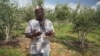 L'Afrique du Sud, du vin à l'huile d'olive : une nouvelle voie pour l'économie