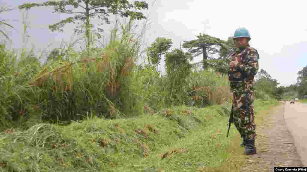 Un Casque bleu de la mission des Nations unies au Congo patrouille à Oicha, Beni, 28 octobre 2015 (Charly Kasereka/VOA).