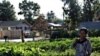 Farming Helps Refugees Put Down Roots